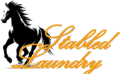 stablelaundrylogoorangeweb1